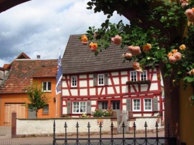 Апартаменти Haus Nostalgie Kleinheubach Номер фото